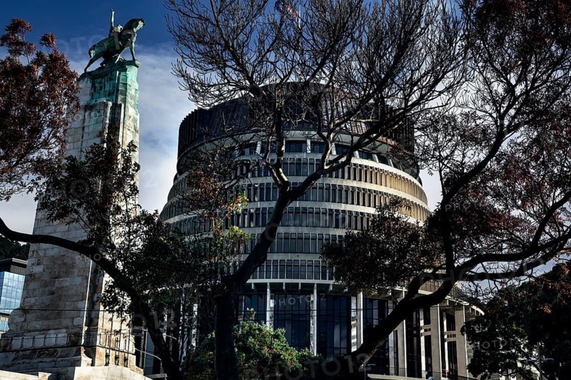 Parliament building in Wellington partly obscured by trees under clear skies, Wellington, New Zealand
