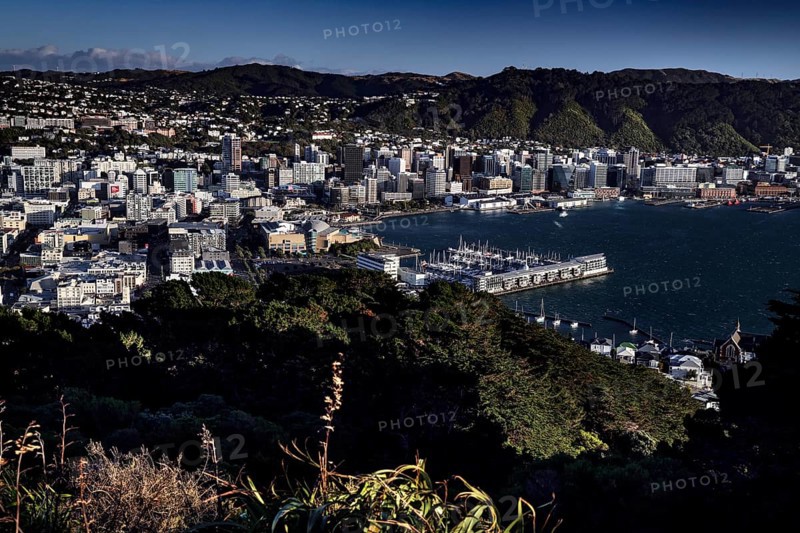 View from Mount Victoria Lookout over Wellington, the harbor and surrounding hills, Wellington, New Zealand