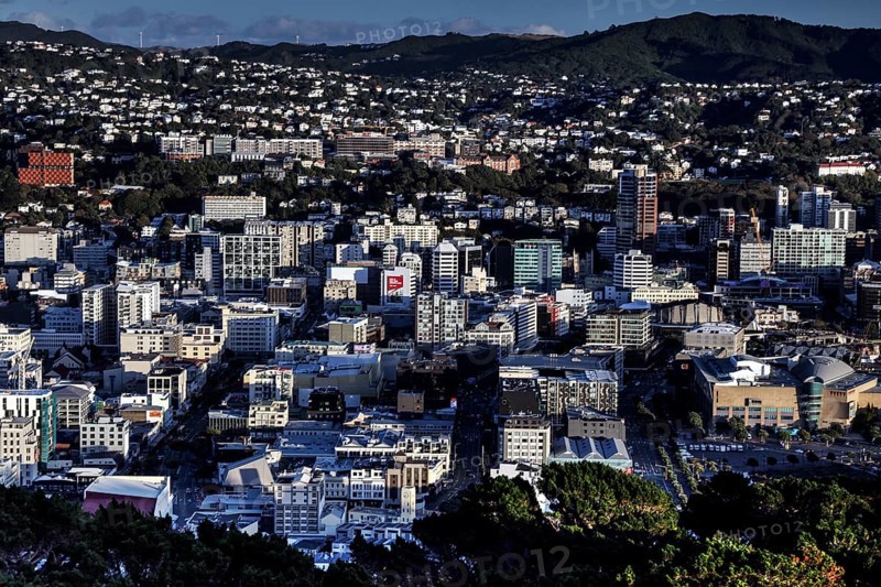 View of Wellington from Mount Victoria Lookout with residential buildings and surrounding green countryside, Wellington, New Zealand