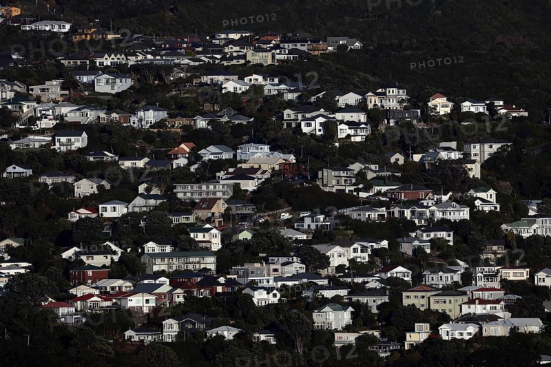 Aerial view of densely built residential area on a hillside in Wellington, Wellington, New Zealand