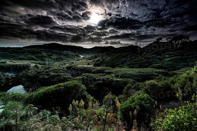 Dramatic night landscape with cloudy sky near Wharariki Beach, Wharariki Beach, New Zealand