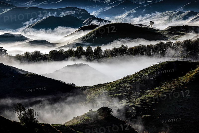 Morning fog over rolling hills in Tongariro National Park with mystical flair, Tongariro National Park, Waikato, New Zealand