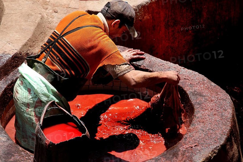 A worker dyes leather in a bright red basin in the tannery of Fez, Fez, el-Bali, Chouwara, Morocco