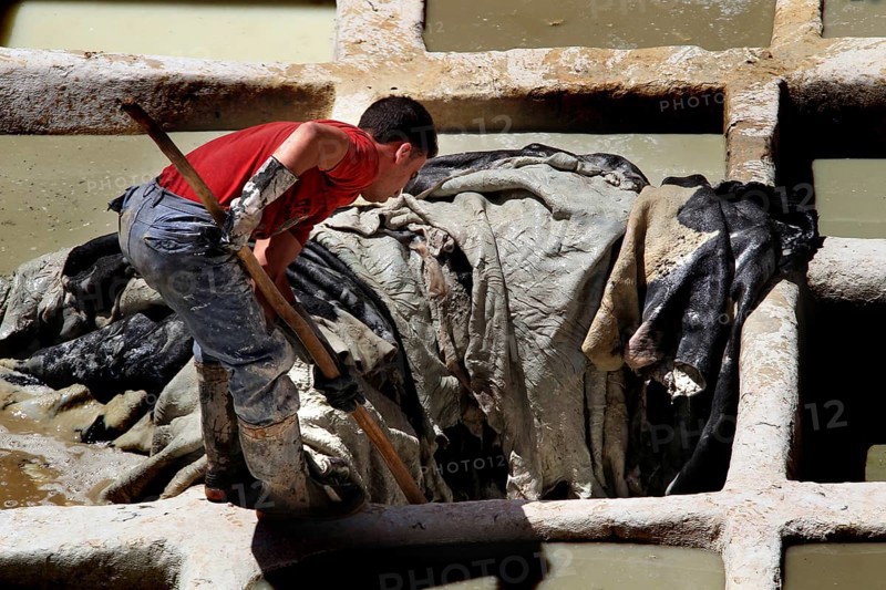 A worker in a traditional tannery works leather in a paint tank, Fez, el-Bali, Chouwara, Morocco