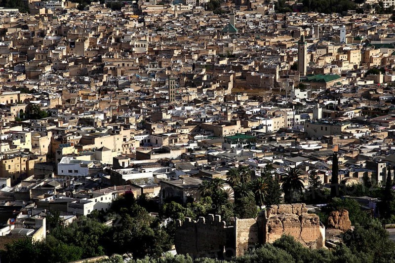 Panoramic view of the dense urban landscape of Fez from Bordj Sud, Fez, Fez el Bali, Morocco