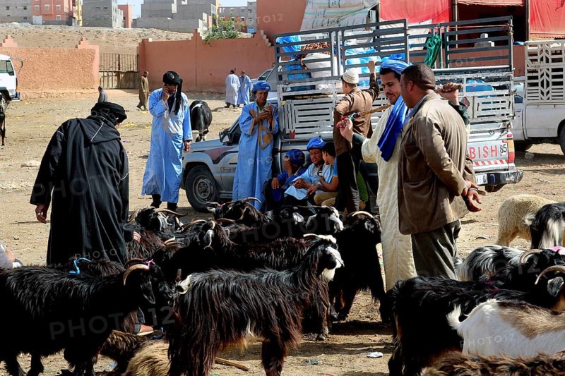 People wearing traditional garments at an active livestock market, Guelmim, Guelmim-Oued Noun, Morocco