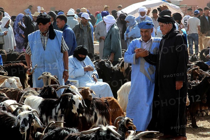 People trading in traditional clothing at a cattle market, Guelmim, Guelmim-Oued Noun, Morocco