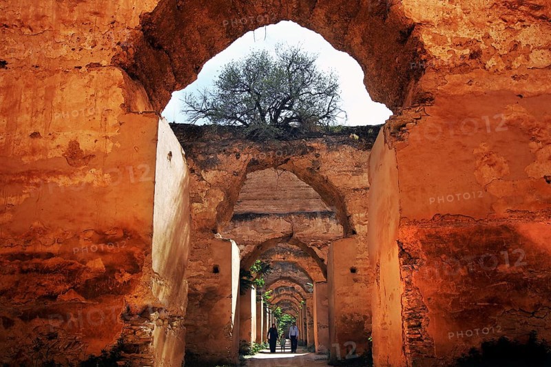 Historic brick arches lead the gaze into the distance, a tree in the background, Meknes, Fès-Meknes, Morocco