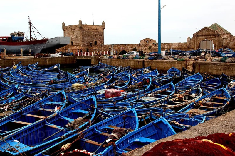 Numerous blue fishing boats are anchored in the harbor, Essaouira, Marrakesh-Safi, Morocco