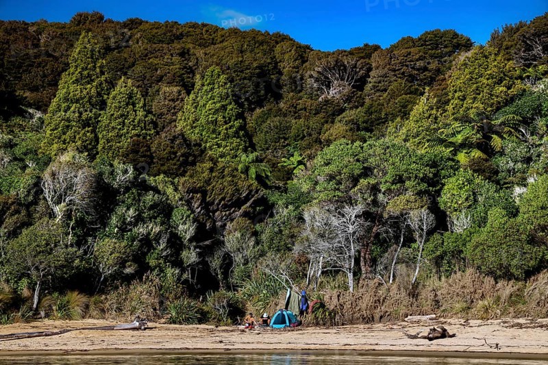 Te Pukatea Bay with a quiet beach and thick forest with blue sky, zero
