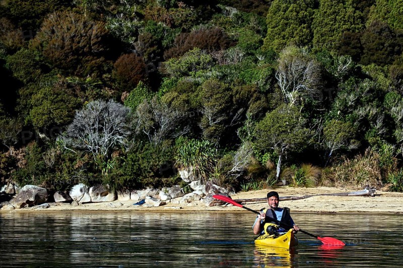 Person in yellow kayak off quiet wooded beach, Te Pukatea Bay, New Zealand