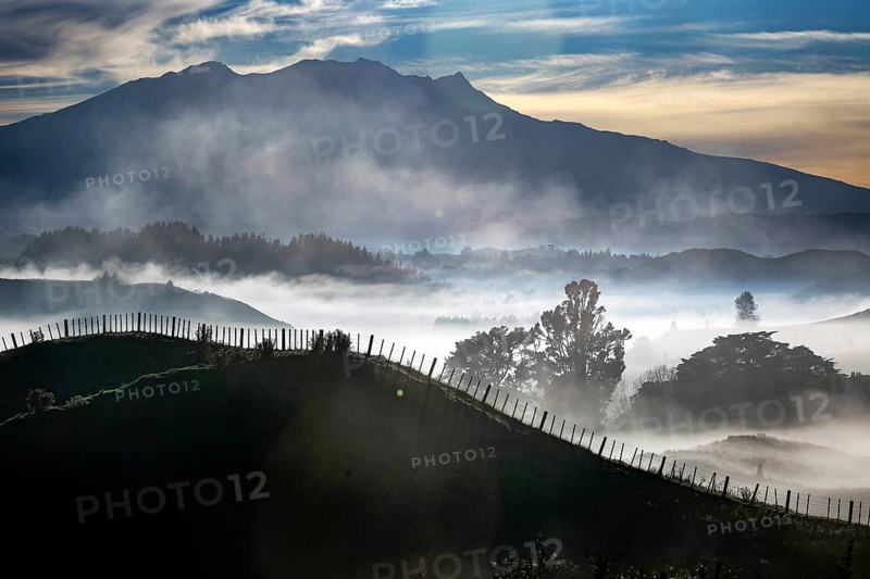 Morning fog envelops rolling hills and shimmers between fences and mountains in the distant background, Tongariro National Park, New Zealand