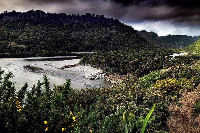 Lush vegetation and river course on a cloudy day in Punakaiki, Punakaiki, West Coast, New Zealand