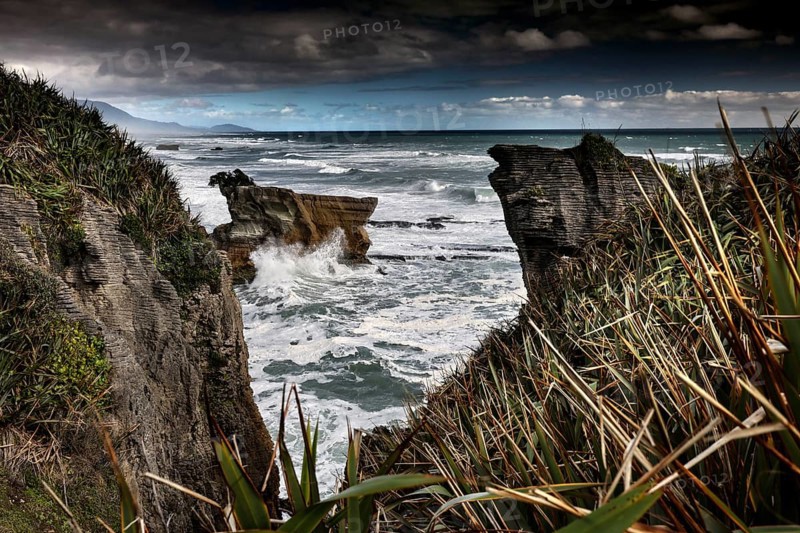 Rocks and ocean vegetation at Pancake Rocks, Punakaiki, West Coast, New Zealand