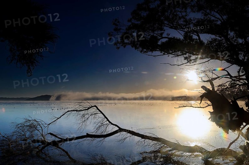Sunrise over Lake Rotorua with dramatic reflections, Rotorua, Bay of Plenty, New Zealand