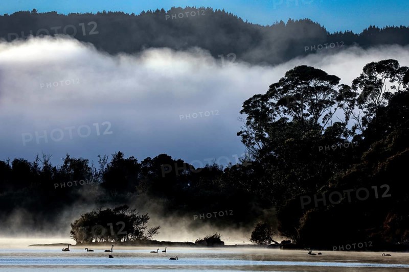 Morning fog over Lake Rotorua with mountain backdrop, Rotorua, Bay of Plenty, New Zealand