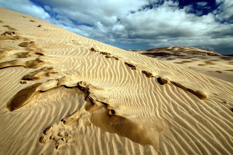 Pattern in the sand dune with distinctive footprints and cloudy sky, Ninety Mile Beach, Te Paki, New Zealand