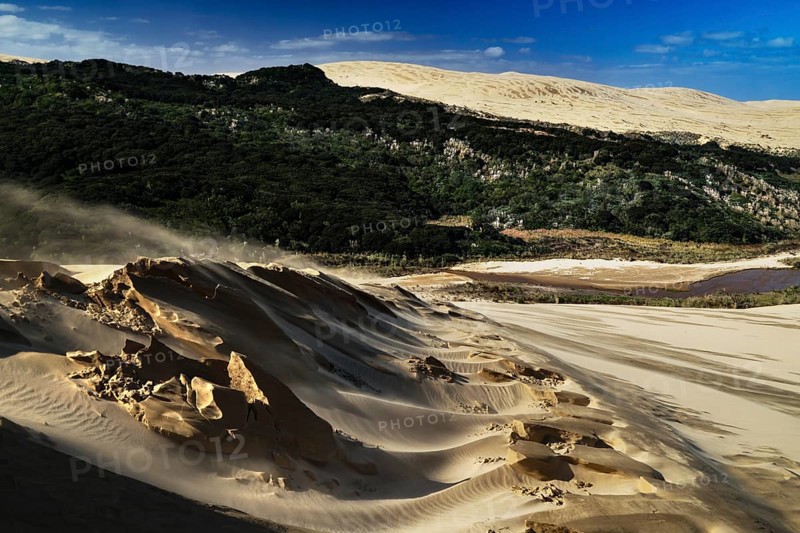 Extensive sandy landscape with blowing sandstorm and green vegetation, Ninety Mile Beach, Te Paki, New Zealand