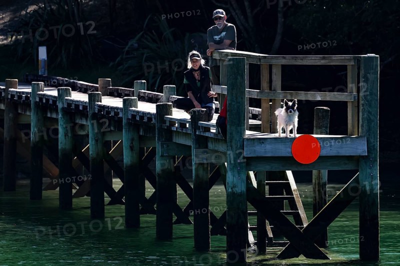 People and a dog on a pier at Pelorus Mailrun with red warning sign