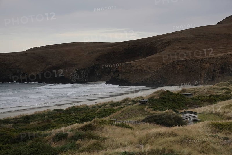 Coastal landscape with rolling dunes and ocean views on the Otago Peninsula, Otago Peninsula, New Zealand