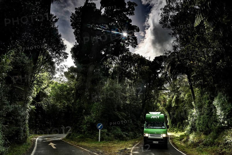 A green Jucy camper on a shady road in Mt Egmont National Park surrounded by tall trees, Taranaki, New Zealand