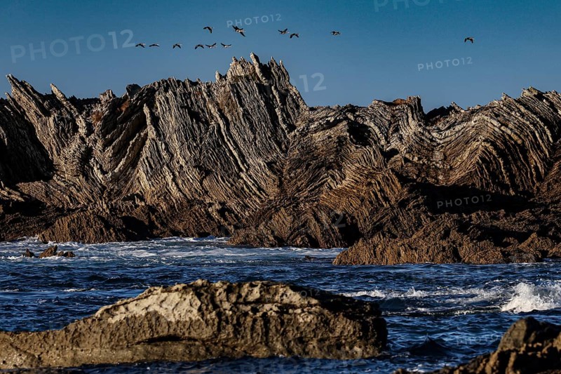 Dramatic rock formations on the Kaikoura coast with flying birds, zero