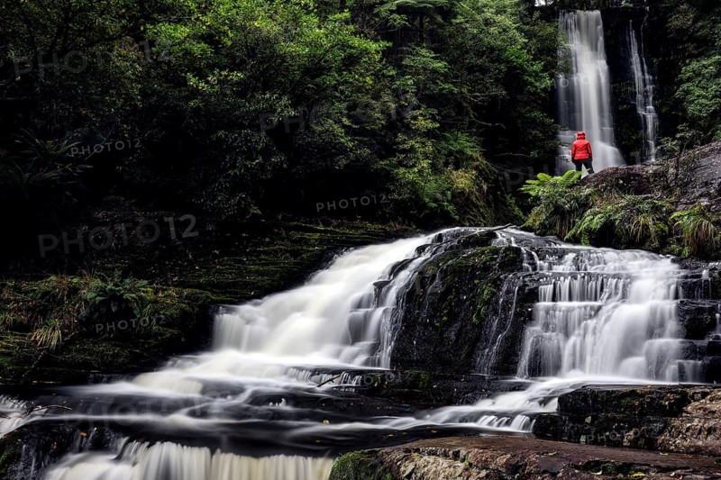 McLean Falls in a thick forest with running water and surrounding vegetation, Jackson Bay, Fiordland, New Zealand