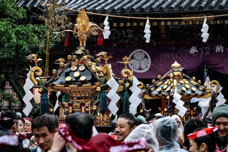 With Mikoshi on Sanja Matsuri surrounded by a dense crowd, Tokyo, Asakusa, Japan