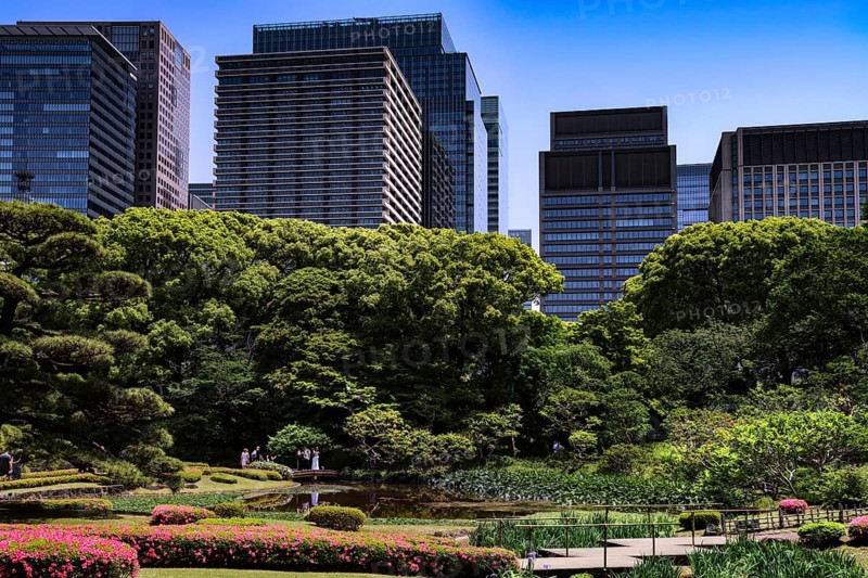 Ninomaru Imperial Palace Garden with modern skyscraper backdrops, Tokyo, Japan