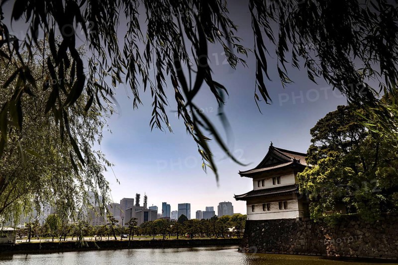 Imperial Palace wall with moat, modern buildings in the background, Tokyo, Japan