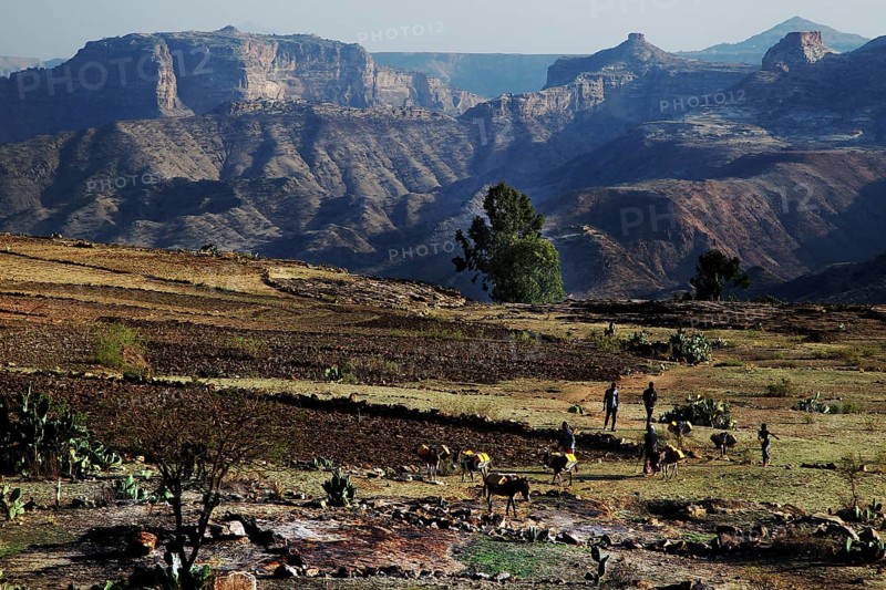 Wide fields with mountains in the background in the Debre Damo region, Debre Damo, Tigray, Ethiopia