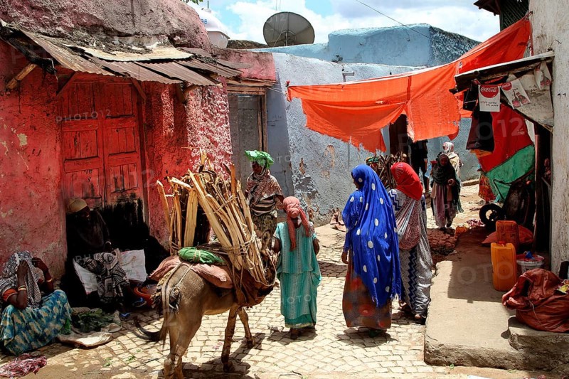 Busy alley in Harar with Merchants and a Donkey, Harar, Ethiopia