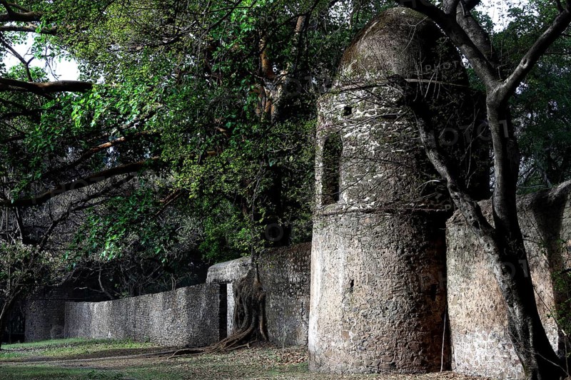 Stone tower with surrounding wall and trees at Fasilidas Bath in Gondar, Gondar, null
