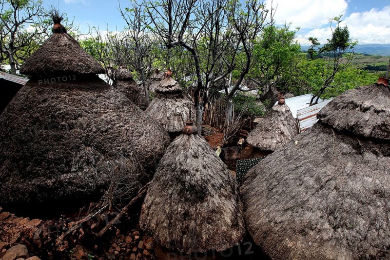 Traditional conical huts in a Konso village surrounded by lush vegetation, Konso, region, Ethiopia