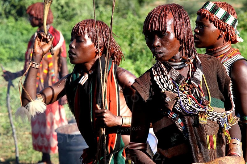 Group of Hamer woman wearing traditional clothing with jewelry in a green setting, Turmi, Ethiopia