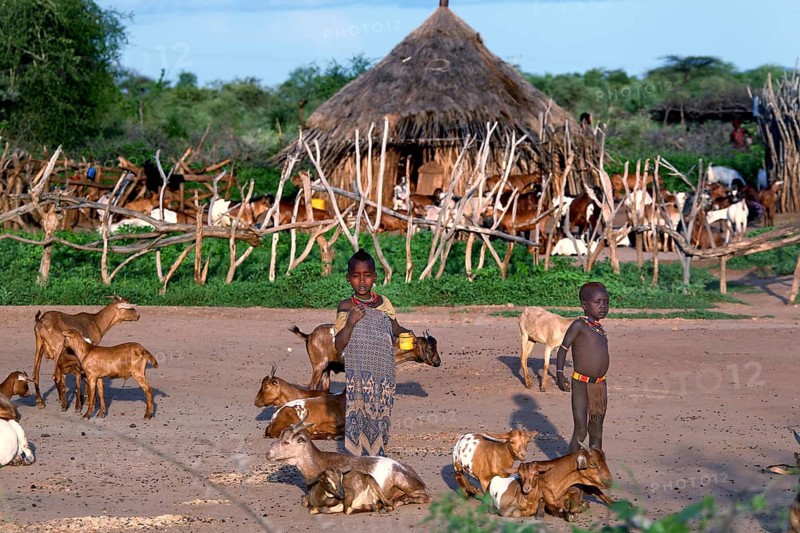 Children playing with goats in front of a traditional hut in Hamer village, Turmi, Ethiopia