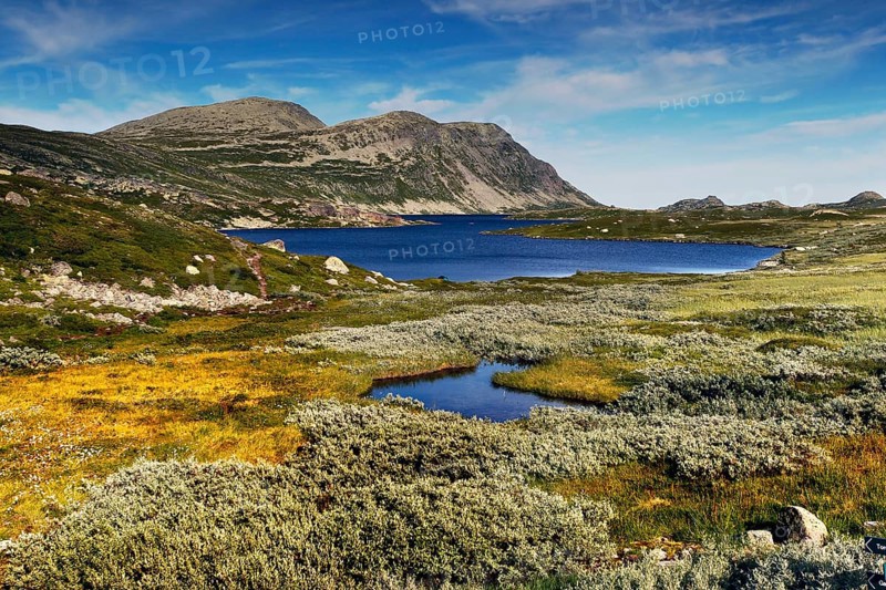 Mountainous landscape of Hardangervidda with blue lake under open sky, Hardangervidda, Innlandet, Norway