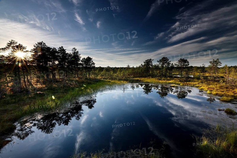 Winding landscape with reflecting water in the high moor of Viru, Viru, Lahemaa National Park, Estonia