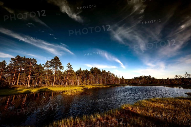Viru moor in Lahemaa National Park with vast expanses of water and bright skies, Lahemaa National Park, Estonia