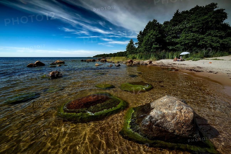 Rocky coast with wooded surroundings and clear blue sky on Juminda Peninsula, Kiiu, Aabla, Juminda Peninsula, Estonia