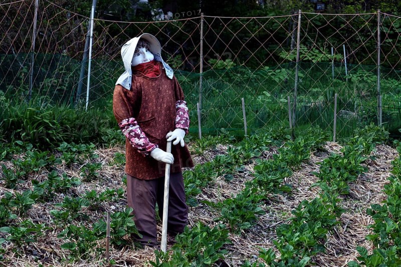 Fabric figure in a garden depicting rural work
