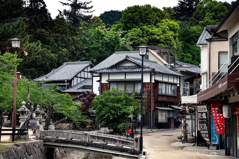 Traditional Japanese buildings on a quiet street surrounded by green vegetation, Miyajima, Japan