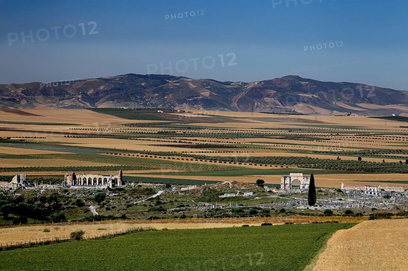 Ruins of Volubilis lie under a clear sky, surrounded by fields and hills. The view stretches across a wide landscape, Volubilis, Morocco, Morocco