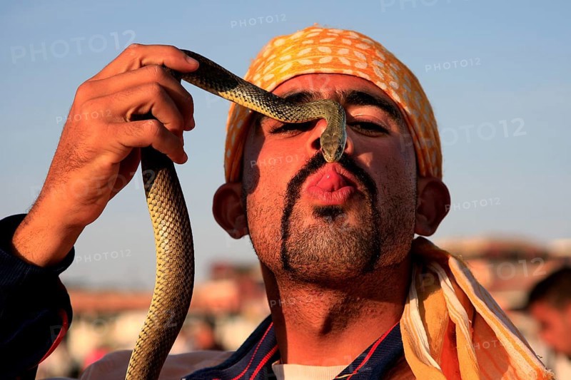 Snake charmer holding a snake in his face on Djemaa El Fna in Marrakech, Marrakesh, null, Morocco