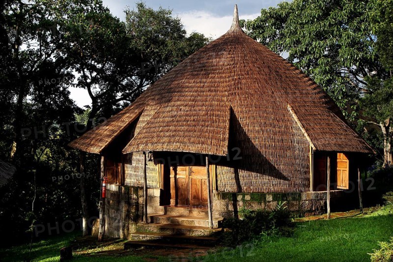 Traditional thatched hut surrounded by thick vegetation, Yirga Alem, Ethiopia