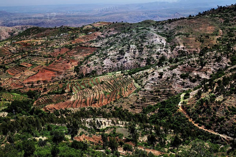 Wide landscape between Awash and Harar with terraced hills and vegetation, Awash, Afar, Ethiopia