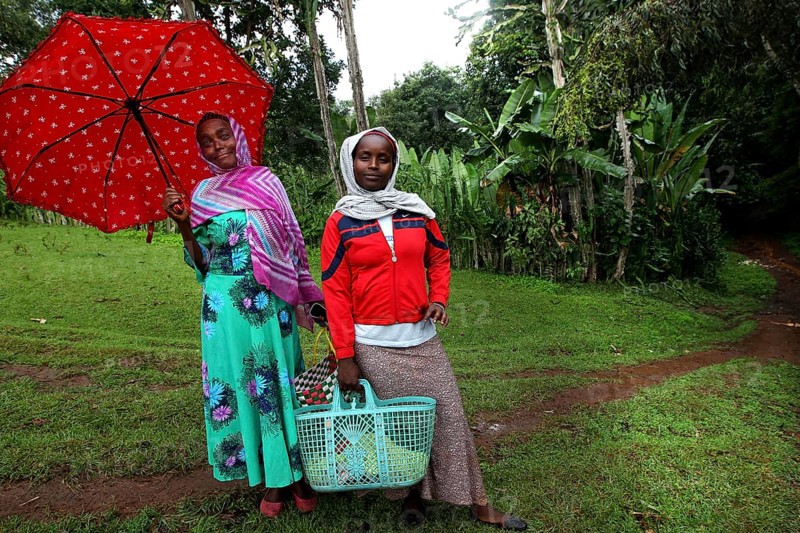 Two woman in colorful clothes stand with umbrellas on a path in a green landscape, Yirga Alem, Ethiopia