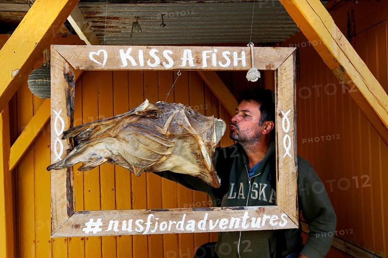 Man posing with stockfish in wooden frame in Nusfjord, Nusfjord, Flakstadøy, Norway