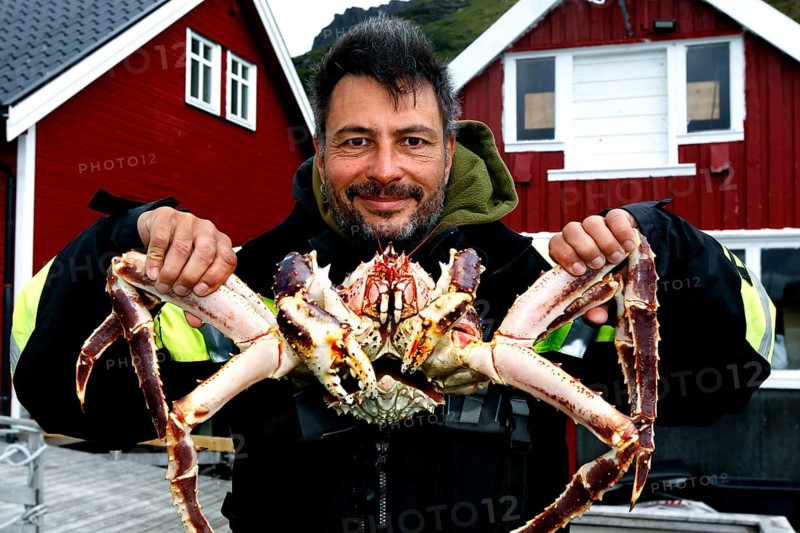 Man keeps a king crab in front of red wooden houses in N Sarnes, N Sarnes, zero