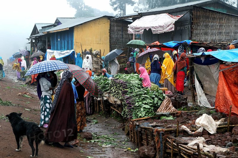 Lively marketplace in Rira with colorful umbrellas and rainy atmosphere, Rira, Bale Mountains, Ethiopia